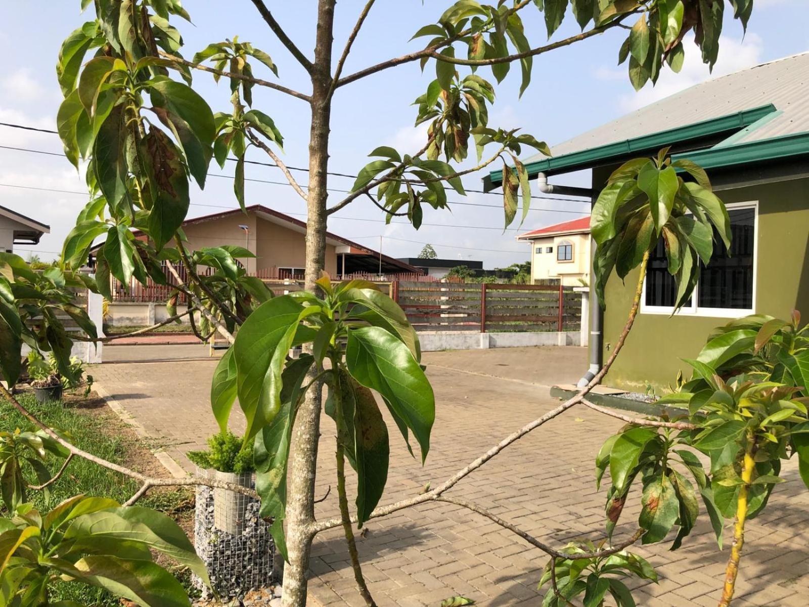 Apartmán Grapefruitstraat Paramaribo Exteriér fotografie